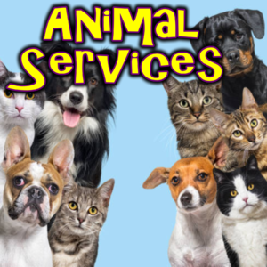 Animal Services